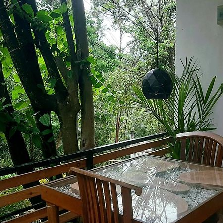 Dhanudi Homestay Ella Zewnętrze zdjęcie