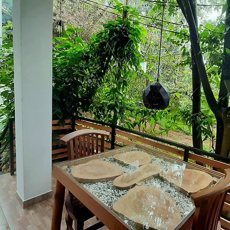 Dhanudi Homestay Ella Zewnętrze zdjęcie