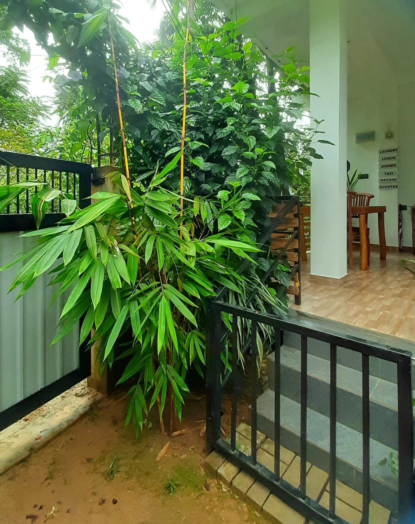 Dhanudi Homestay Ella Zewnętrze zdjęcie
