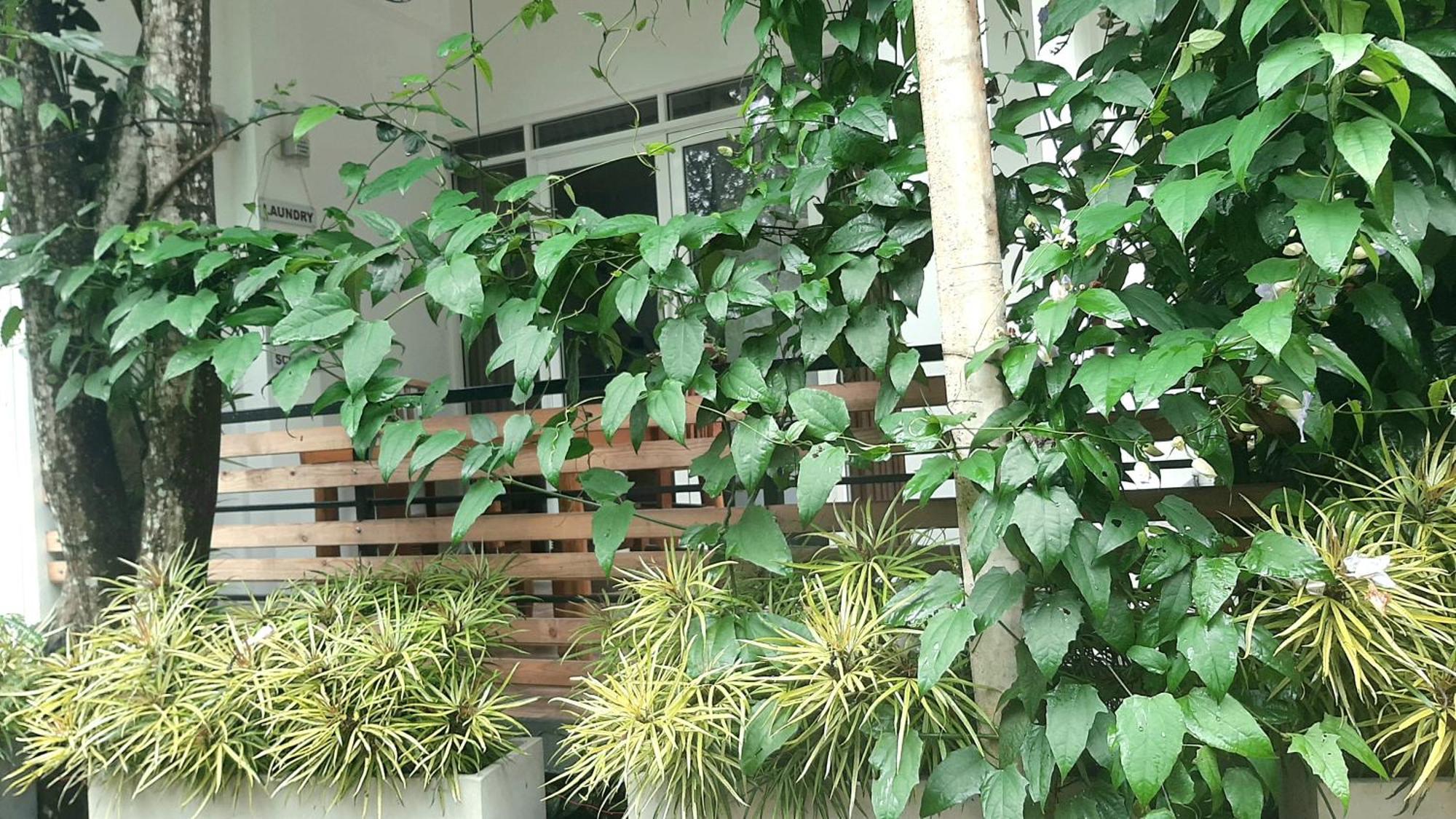 Dhanudi Homestay Ella Zewnętrze zdjęcie
