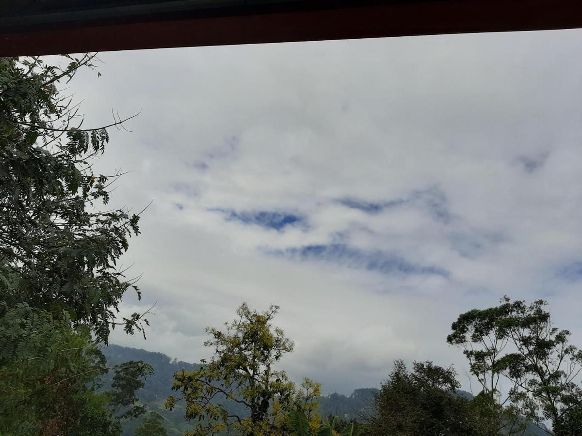 Dhanudi Homestay Ella Zewnętrze zdjęcie